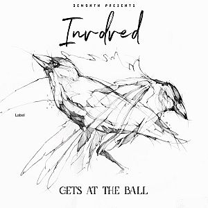 Pre Made Album Cover Mine Shaft a black and white drawing of a bird