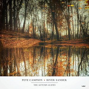 Pre Made Album Cover Millbrook a pond surrounded by trees with leaves on the ground