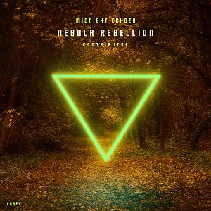 Pre Made Album Cover Bronze a neon triangle in the middle of a forest