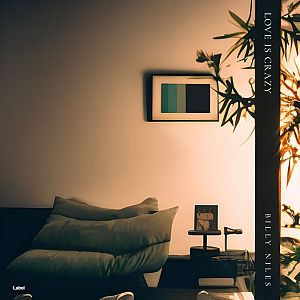 Pre Made Album Cover Tuatara a living room with a couch and a plant