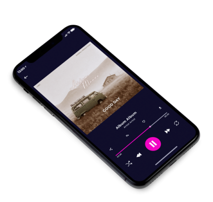 Premade Album Cover 3D View Silk