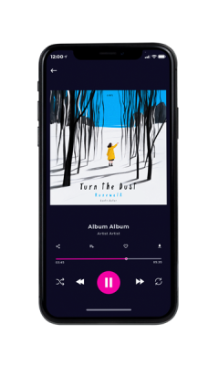 album cover on a phone view Gallery