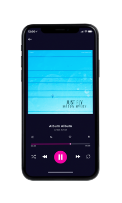 Custom Album Cover on Phone View Malibu