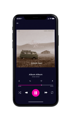 Custom Album Cover on Phone View Silk