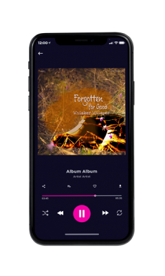 Custom Album Cover on Phone View Dallas