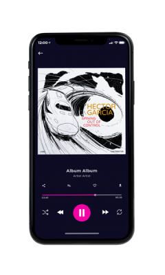 Custom Album Cover on Phone View Gallery