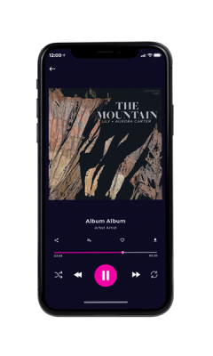 Custom Album Cover on Phone View Sandrift