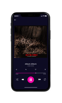 Custom Album Cover on Phone View Night Rider