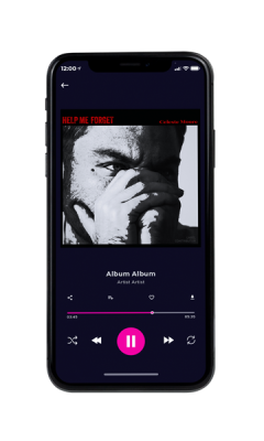 Custom Album Cover on Phone View Alto