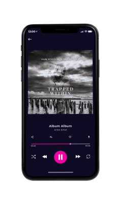 Custom Album Cover on Phone View Merlin