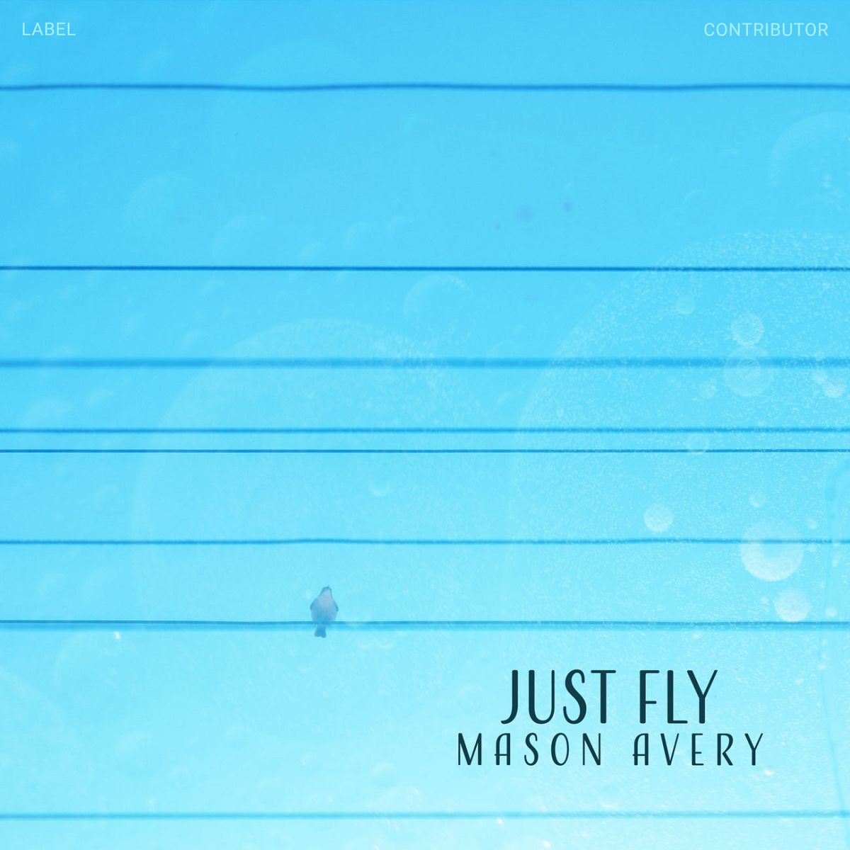 Premade Album Cover Front Malibu