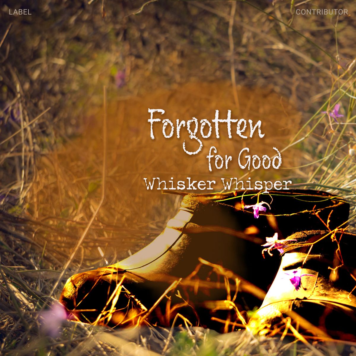 Premade Album Cover Front Dallas