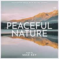 Pre Made Album Cover Pale Slate