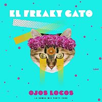 Pre Made Album Cover Bright Turquoise