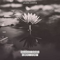 Pre Made Album Cover Tundora