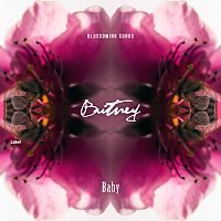 Pre Made Album Cover Tawny Port