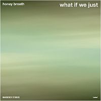 Pre Made Album Cover Swamp Green