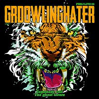 Pre Made Album Cover Equator