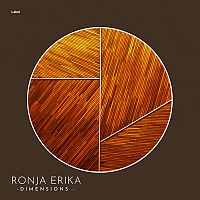 Pre Made Album Cover Metallic Bronze