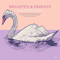 Pre Made Album Cover Cavern Pink
