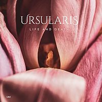 Pre Made Album Cover Turkish Rose