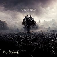 Pre Made Album Cover Silver Rust