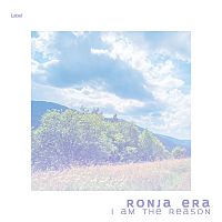 Pre Made Album Cover Periwinkle Gray