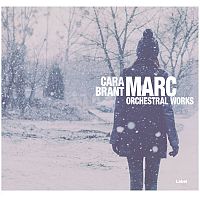Pre Made Album Cover Gray Suit