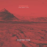 Pre Made Album Cover Copper Rust