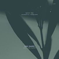 Pre Made Album Cover Limed Spruce