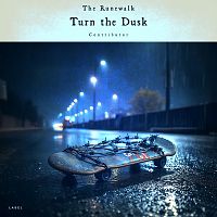 Pre Made Album Cover Swans Down