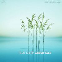 Pre Made Album Cover Jagged Ice