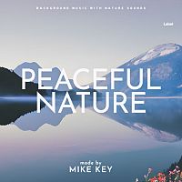 Pre Made Album Cover French Gray
