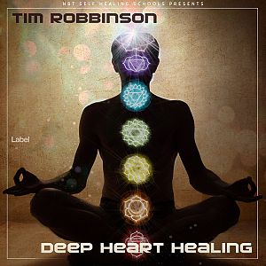Pre Made Album Cover Black Marlin a man sitting in a lotus position with seven chakras