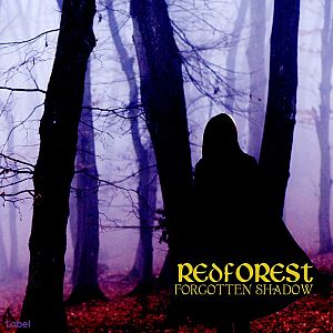 Pre Made Album Cover Haiti a person in a hooded jacket standing in the woods