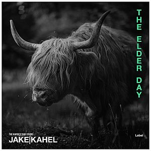 Pre Made Album Cover Cod Gray a black and white photo of a yak