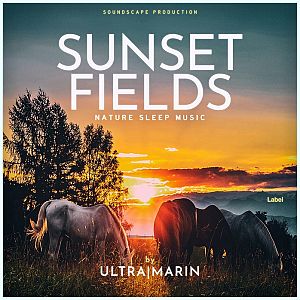 Pre Made Album Cover Outer Space a group of horses grazing in a field at sunset