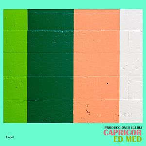 Pre Made Album Cover Zuccini a brick wall with a green and orange stripe painted on it