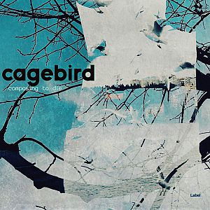 Pre Made Album Cover Powder Ash a collage of trees and birds in a blue sky