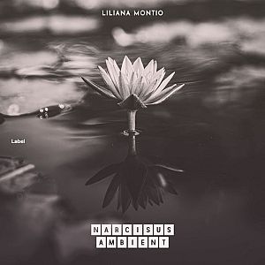 Pre Made Album Cover Tundora a white flower floating on top of a body of water