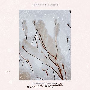 Pre Made Album Cover Bon Jour a picture of a tree branch in the snow