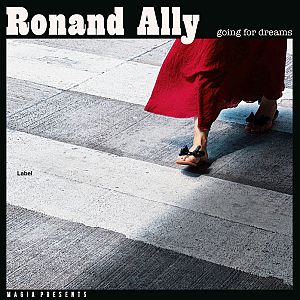 Pre Made Album Cover French Gray a woman in a red dress walking across a street