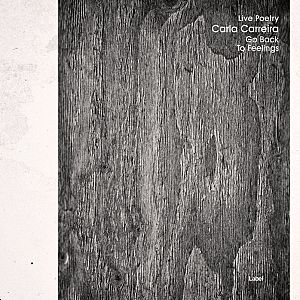 Pre Made Album Cover Dove Gray a black and white photo of a wooden door