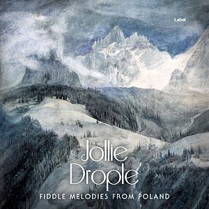 Pre Made Album Cover Oslo Gray a painting of a mountain range with a waterfall