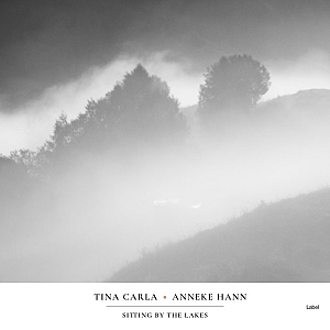 Pre Made Album Cover Silver a black and white photo of trees in the fog