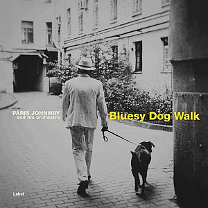 Pre Made Album Cover Dusty Gray a man walking a dog down a street