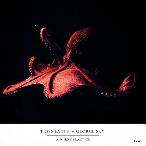 Pre Made Album Cover Cinder a red octopus is floating in the air