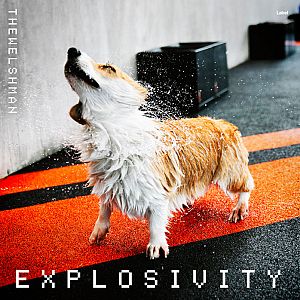 Pre Made Album Cover Woodsmoke a dog standing on a red and black floor next to a wall