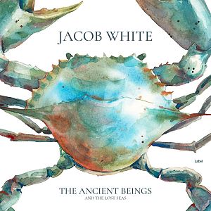 Pre Made Album Cover Envy a painting of a blue crab on a white background