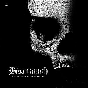 Pre Made Album Cover Silver Sand a black and white photo of a skull